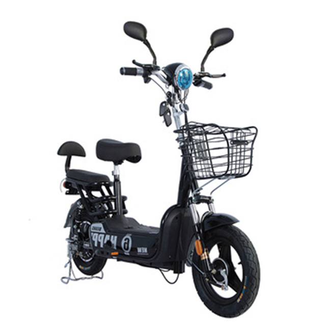 14 Inch Electric Bike 48V 23ah Long Distance Electric Bike 350W Electric Bike