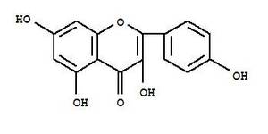 天然<span class=keywords><strong>Kaempferia</strong></span> <span class=keywords><strong>Galanga</strong></span>エキス,Sophora Japonicaエキス98% Kaempferolパウダー - Product Image 3