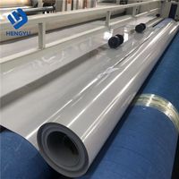 Usine de géomembranes HDPE avec un design industriel