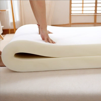 Matelas en mousse haute densité épaissie, lit pour dortoir étudiant et soins à domicile, matelas en mousse personnalisable en usine, différentes tailles et couleurs