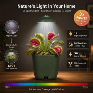 Vaso per Coltivazione di Venus Flytrap con Luce LED e Sistema di Auto-Irrigazione, Kit Espositivo per Piante Carnivore da Scrivania - Pronto per Regalo per Casa/Ufficio - Product Image 3