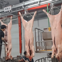 Équipement d'abattage de porcs, crochet à poulie pour ligne d'abattage de porcs personnalisée à haute efficacité