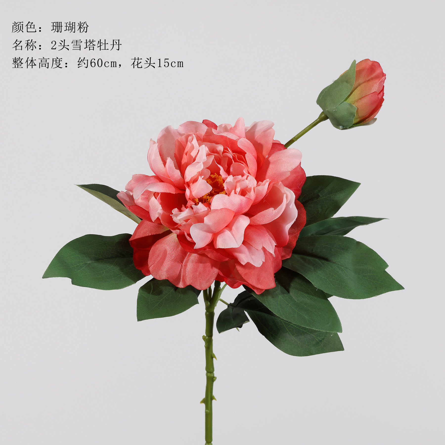 2 peonie torre di neve - rosa corallo