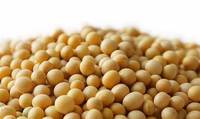 Additifs alimentaires en fibres alimentaires en gros, soluble dans l'eau, extrait naturel de soja en poudre, 70% de polysaccharides de soja