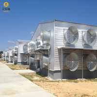 Poulailler à deux étages Structure en acier galvanisé léger Poulet de chair avec équipement Système de gestion du bétail de volaille