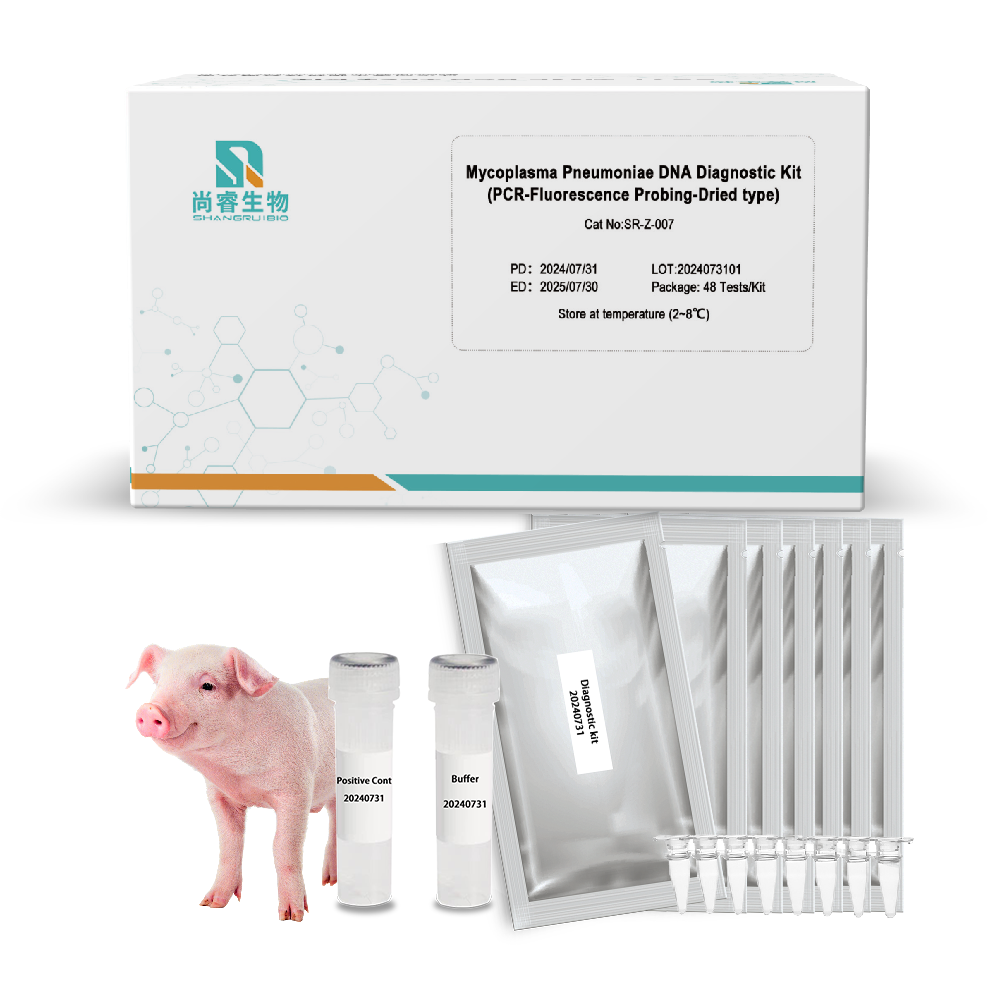 Набор для диагностики флуоресценции Mycoplasma pneumoniae DNA (PCR-флуоресцентный зондирующий высушенный тип)