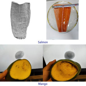 Industrielles Röntgeninspektionssystem mit Hochauflösender Bildgebung zur Genauigen Lokalisierung von Hühner- und Fischgräten - Product Image 3