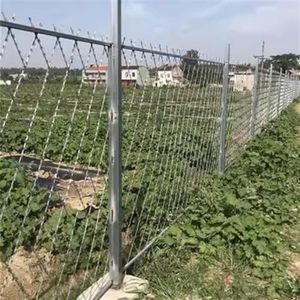 Alambre de Púas Galvanizado, Alambre de Seguridad de 1M de Longitud, Solución Duradera para el Hogar y la Granja - Product Image 1