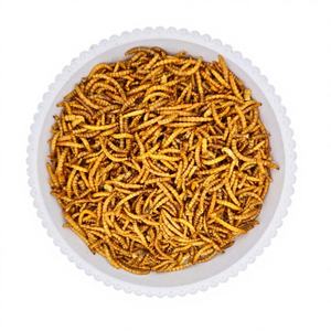 מזון חם למכירה, איכותי, בכמויות גדולות, טבעי לחיות מחמד, עשיר בחלבון, חרקי קמח מיובשים לאוגרים, זוחלים וציפורים - Product Image 2