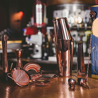 Set Perlengkapan Bar Koktail Boston dari Logam dengan Logo Kustom, Hadiah Peralatan Bar, Perak, Rose Gold, Tembaga, Baja Tahan Karat, Kit Bartender