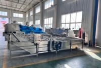 Automatische Multifunctionele Motor Aangedreven Fruit En Groente Wasmachine Met Luchtbel Ozon Schoonmaken Voor Maïs En Knoflook