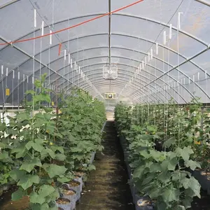 Agricultura Single Span Germinación Sandía Invernadero Material Perfil Aire acondicionado Techo curvo <span class=keywords><strong>Lechuga</strong></span> Invernadero para la venta - Product Image 1