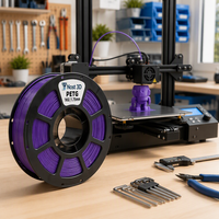 Filament d'imprimante 3D NOST PETG, couleur violet bulle