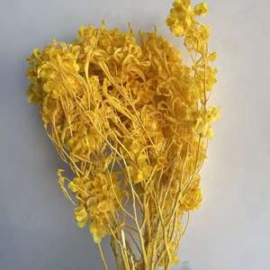 Bouquet de <span class=keywords><strong>fleurs</strong></span> séchées style Ins, 12 pièces, <span class=keywords><strong>fleurs</strong></span> éternelles, papillons de décoration artistique - Product Image 5