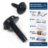 Kit de vis Torx à tête cylindrique en oxyde noir avec rondelle - Fixation haute résistance anti-effraction avec service de kit personnalisé
