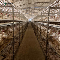 Système complet de cages à poulets de type H, solution clé en main pour l'équipement d'une ferme avicole à grande échelle pour la production de poulets