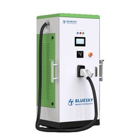 Stasiun Pengisian Daya Cepat DC Bluesky Baru Terlaris 20-120kW GB/T Dual Guns OCPP1.6J Layar 7'' IP55 TUV CE Penggunaan Komersial & Publik