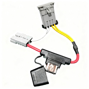 Hot Bán Bán Buôn Sản Phẩm Dây Nịt Xe Ô Tô Tự Động Hoàn Chỉnh Tùy Chỉnh Dây Nịt Dây Điện - Product Image 4