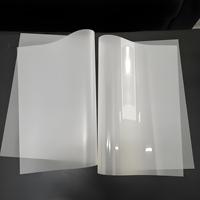 Vente directe usine : Film DTF A3/A4 en feuille, pelable à chaud/froid, pour transfert thermique, impression textile, sans poudre, film PET haute qualité