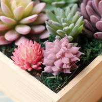 Succulentes en gros, assortiment de mini-cactus décoratifs, arrangement suspendu pour l'intérieur et l'extérieur, plantes artificielles succulentes à vendre