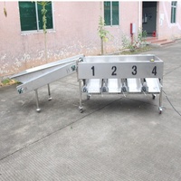 Machine de tri professionnelle pour fruits et agrumes, machine de classement des citrons