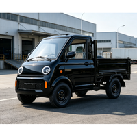 Micro-camionnette électrique EEC COC L6e 3500W, véhicule à énergie nouvelle, cabine fermée, conduite à gauche, nouveau style