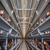 Conception moderne Structure en acier Caisson de volailles Construction à ossature en acier préfabriquée Granges agricoles OEM Poulaillers