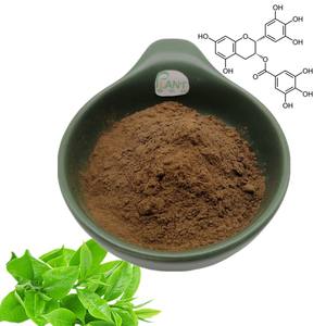 Pasokan ekstrak teh hijau alami <span class=keywords><strong>50</strong></span>% Egcg massal ekstrak daun teh hijau Epigallocatechin Gallate EGCG bubuk halus - Product Image 5