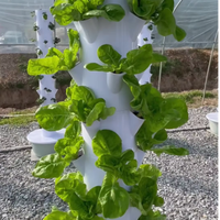 Agriculture verticale aéroponique, culture hydroponique en tour verticale pour les légumes-feuilles