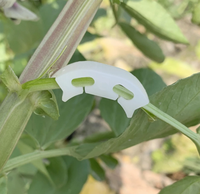 Pinces de Support des plantes, pinces en zinc, réutilisables pour suspendre la végétation, la vigne, le jardin, une serre, les légumes et les tomates, tailles S/L, pièces