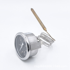 Termómetro Capilar de Acero Inoxidable 0-500°C con Esfera Redonda, Medidor de Temperatura para Horno de Pizza, Sensor de Aleación de Cobre y Plata - Product Image 1