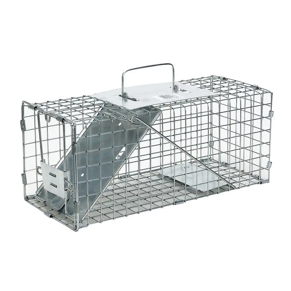 China factory Galvanized Collapsible Wild Cat Raccoon Wire Cage Trap