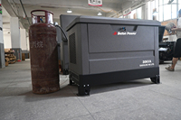 Générateur bi-carburant 15-30 KVA 4 cylindres, essence/gaz naturel, faible bruit, ATS, démarrage automatique, châssis en acier galvanisé, directement de l'usine