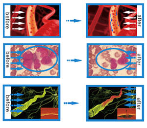 Appareil de thérapie au <span class=keywords><strong>laser</strong></span> froid à lumière rouge portable, lumière LED pour animaux de compagnie et humains pour favoriser la cicatrisation des plaies - Product Image 4