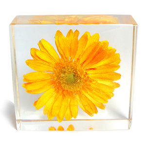 Prensapapeles de Resina con Flores Botánicas, Moldes de Resina para Plantas y Flores, Resina de Silicona y PVC en Venta - Product Image 1