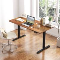 Modernos Escritorios Elevables Eléctricos Inteligentes de Altura Ajustable con un Solo Motor para Estudiantes, Estudio, Escritura, Gaming y Trabajo de Oficina