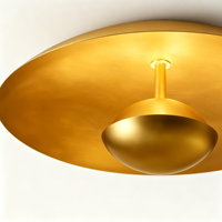 Luminaires de plafond créatifs rétro en acier et verre pour salon, salle de lecture, maison, en laiton, éclairage artisanal de haute qualité