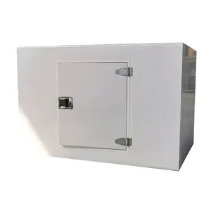 2024Newels Custom Insulated Fish Transport Delivery Refrigerated Cargo Transfer Freezer Box