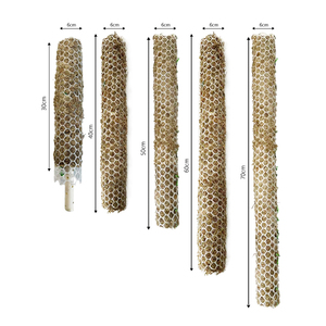 Poteau de mousse à forte rétention d'eau écologique pour plantes grimpantes pour pots de fleurs en mousse de sphaigne Monstera Philodendron - Product Image 2