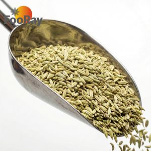 Semillas de Hinojo de Color Clasificado, Enteras, a Granel, Caja de 20 kg, <span class=keywords><strong>Especias</strong></span> Premium Limpias para Producción Alimentaria de Alta Gama y Suministro Culinario - Product Image 3