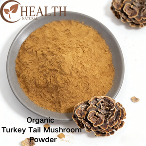 Yhealth 유기농 터키꼬리버섯 분말 식품 등급 천연 코리올루스 베르시컬러 분말 맞춤형 포장 OEM - Product Image 2