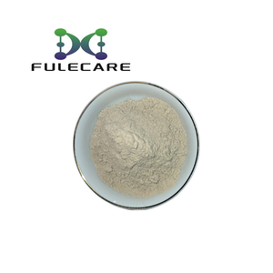 Estratto di radice di Taro 100% dolce solubile in acqua di alta qualità in polvere - Product Image 1