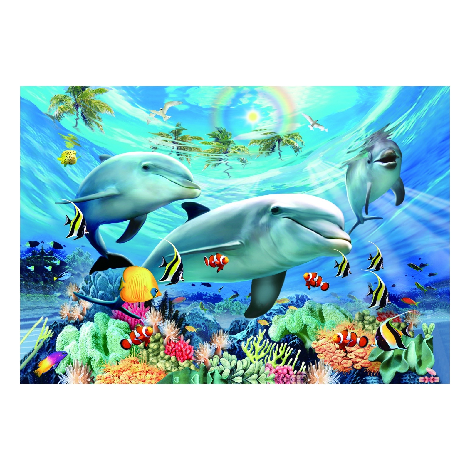 Poster 3D Encadré Dauphin Et Algues – Décoration Murale Unique – Neuf