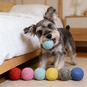 Evcil Hayvan Malzemeleri Tedarikçileri Özel Logolu Çevre Dostu Atılabilir Köpek Çiğneme Oyuncakları Toptan Evcil Hayvan Tenis Topları İnteraktif Köpek Oyuncak Topu - Product Image 1