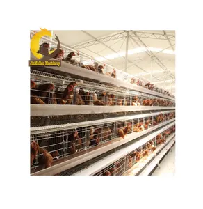 Jinmuren Automatic Chicken Layer Cage poultry farm