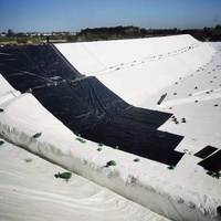 Tissu géotextile tissé haute résistance pour la construction routière, la stabilisation des sols et les projets d'ingénierie civile