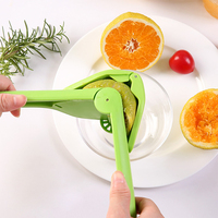 Handmatige citruspers, draagbare handpers voor citroen, limoen en sinaasappel, mini fruitsapcentrifuge