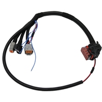 Cable de Diagnóstico y Programación ECU Euro 4 para Motores Diésel, Cable de Prueba en Banco para Verificación de Señales, Compatible con Yanmar
