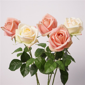 <span class=keywords><strong>Venta</strong></span> caliente Real Touch Artificial Single Rose Colorful Rose Stem Alta calidad Día de San Valentín Fábrica al por mayor Rosas - Product Image 1