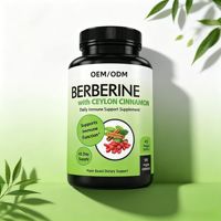 Complément Herbal OEM/ODM : Capsules de Berbérine Phytosome et Cannelle de Ceylan – Soutient la Fonction Immunitaire – Usage Adulte – 90 Capsules/Flacon